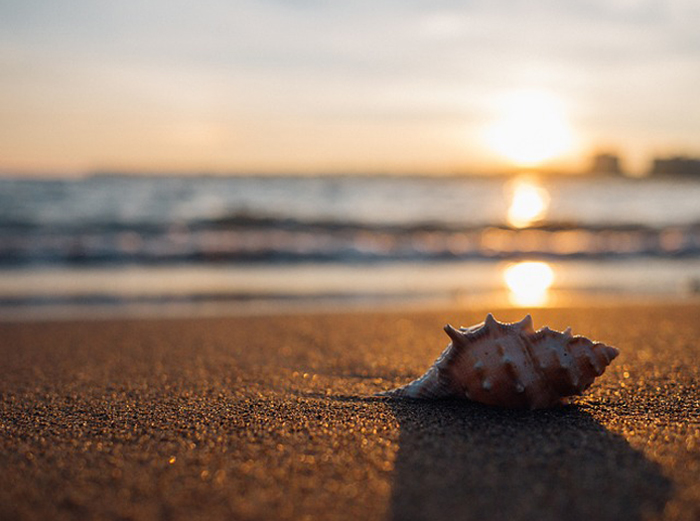 servizio spiaggia